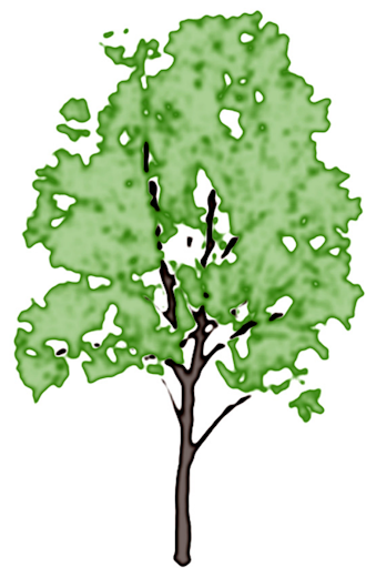 Edge Darkening Illustration