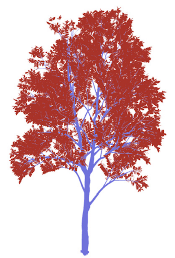 Edge Darkening Illustration